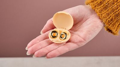 Loud people nearly ruined my forest vacation, and now I appreciate my Loop Switch 2 earplugs more than ever