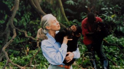Jane Goodall, famed primatologist who discovered chimpanzee tool use, dies at 91