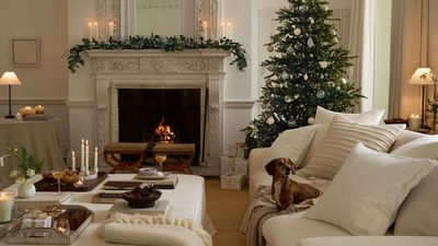The Cotswold farmhouse Christmas aesthetic marries rustic charm with sleek minimalism – and these picks from The White Company are just what you need to get the look
