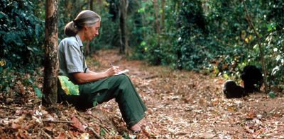 ‘Only if we help shall all be saved’: Jane Goodall showed we can all be part of the solution