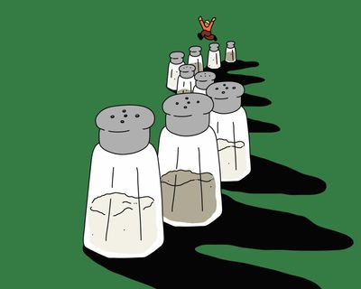 You be the judge: should my partner stop hankering after salt and pepper shakers?