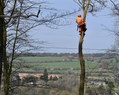 ‘It’s been beyond difficult’: earthworks of HS2 take toll on Chilterns residents