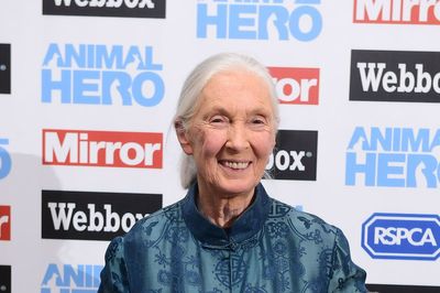 William hails Jane Goodall for ‘challenging us all to make a difference’