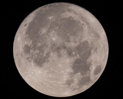 Thursday news quiz: AI actors, gorgeous trees and moons with signs of life