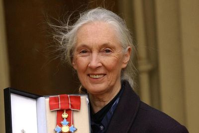 David Attenborough hails Jane Goodall as a ‘tireless advocate’ for chimpanzees