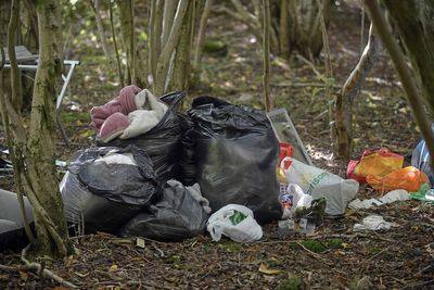 Two arrested as self-styled ‘African tribe’ evicted from woods