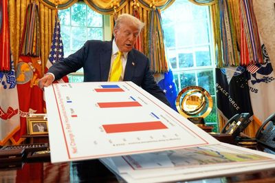 A critique of pure stupidity: understanding Trump 2.0