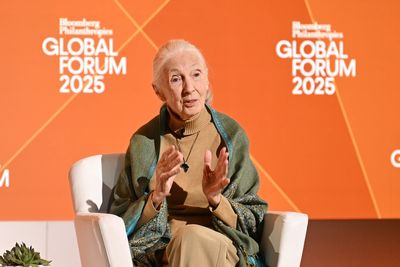 Jane Goodall’s inspiring final words as chimp expert is laid to rest