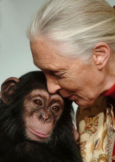 Dame Jane Goodall dies aged 91: "A great loss to the scientific world" | Tech & Science Daily podcast