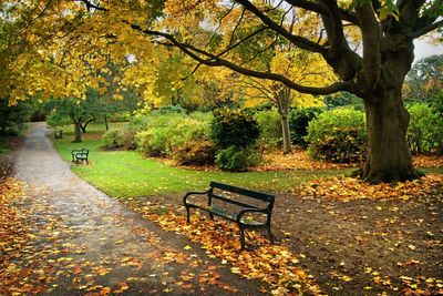 Why Britain’s historic gardens and parks are now ‘at risk’