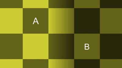 I'm amazed this simple optical illusion just broke my brain