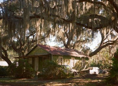 Georgia supreme court sides with Gullah Geechee residents fighting to protect land