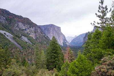 Emerging climbing star Balin Miller, 23, dies in fall from El Capitan
