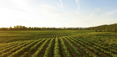 Australia’s new food security strategy: what’s on the table, and what’s missing?