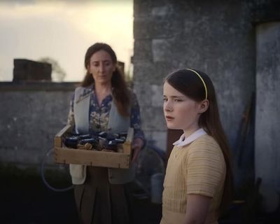 The Irish language is a joy not a burden: in what other tongue is a penis a wild carrot?