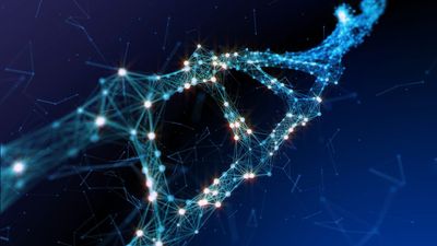 The Best Biotech ETFs to Buy