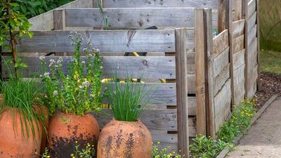 Composting made stylish – the chicest ways to compost without ruining your yard this fall, with tips from a sustainability expert