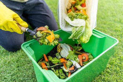 8 Compost Ingredients That Break Down Faster in Fall