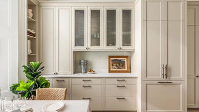 6 Ways Using 'Shallow' Cabinets Can Get so Much More From a Small Kitchen — And How Specifying Them Works