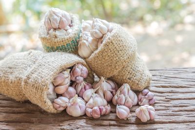 Why Garlic Loves Being Planted Before Winter