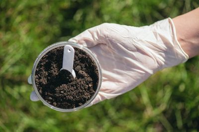 Why Soil Testing in Fall Saves Money in Spring