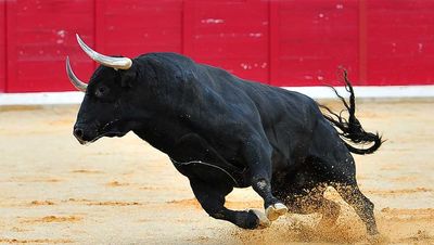 S&P 500 Stocks: These 5 Lead As Index Hits Record High