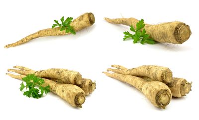 12 Herbs That Thrive in Cooler Temperatures