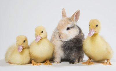 Feeling out of place? How to beat impostor syndrome