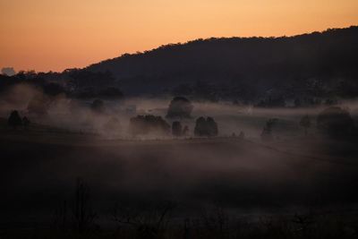 Bitter fruit: the dark underside of the booming NSW blueberry industry