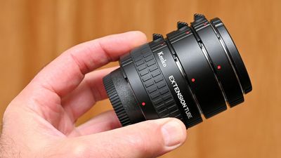 Kenko Auto Extension Tube Set DG review: an electrified trio of tubes for close-ups