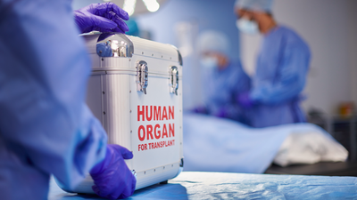 Scientists convert a kidney from blood type A to universal type O and implant it in a brain-dead recipient