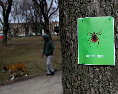 Failed by the NHS on chronic fatigue illness