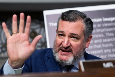 Cruz 'sandbox' plan for AI draws support, detractors - Roll Call