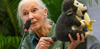 Why we need more Jane Goodalls