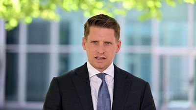 Liberal MP dispels leadership challenge, defends exit