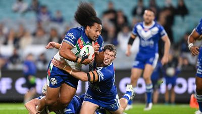 Warriors hair bear Bunty faces final backfence charge
