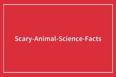 “It’s Just As Horrific As It Sounds”: 50 Disturbing Truths About Animals You Might Wish You Didn’t Know