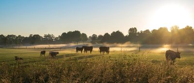 'Who Gave A 20-Year-Old A $100,000 Cow Loan?' Dave Ramsey Is In Disbelief That A Lender Would Give Out That Much Money