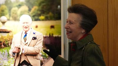 Princess Anne unveils new King Charles portrait - and eagle-eyed fans have spotted one massive change