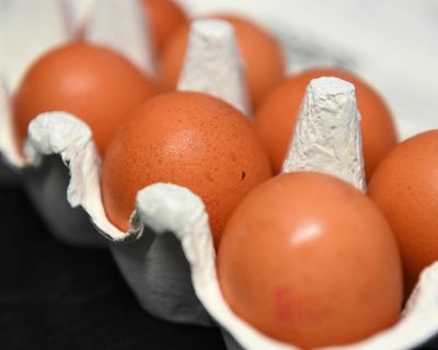 Warnings of imports of caged hen eggs as Ukraine and Poland become UK’s biggest suppliers