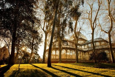 Autumn in Madrid: why Spain’s capital is city-break gold