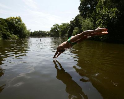 Hampstead Heath swimming ponds considering limiting transgender users’ access