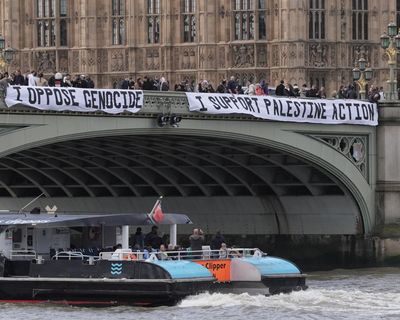 Police make almost 500 arrests at Palestine Action protest in London