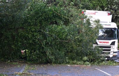 Storm Amy: London parks reopen as UK weather warnings remain in place