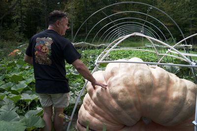 The science behind growing a giant pumpkin