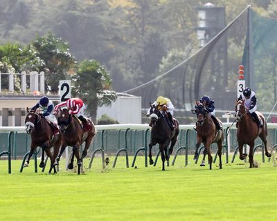Prix de l’Arc de Triomphe: ‘proper soft’ ground rains on Japan’s parade