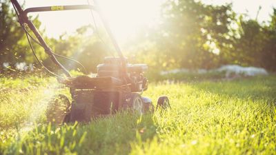 This is when to make your final mow of the year before winter sets in – for the healthiest lawn next spring