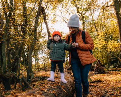 Embrace autumn! 20 reasons to be cheerful – from red wine to sensational star-gazing