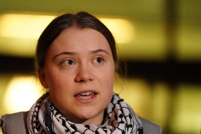 Greta Thunberg mistreated by Israeli forces in detention and forced to kiss flag, activists claim