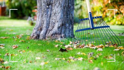 Autumn gardening mistakes: 7 errors that could leave your garden in bad shape this season